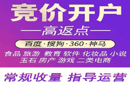 成功之道：竞价推广公司经典案例分析